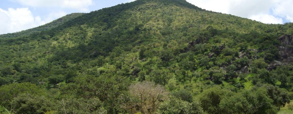 #htmlcaption-1 Moyo District is mountainous and ever green containing different species of living things
